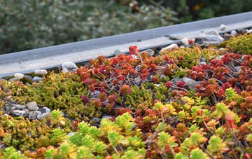 the cost of Bradfield St George green roof installation