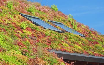 Bradfield St George living roof systems