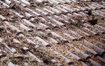 Bradfield St George roof cleaning companies